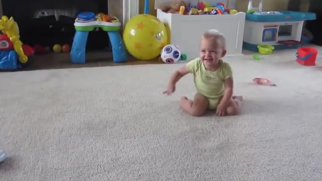 My Baby Playing with a Dobermann dog