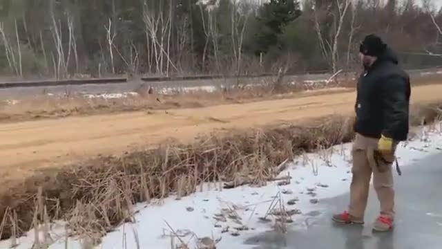 Deer is Slippering on the icy river