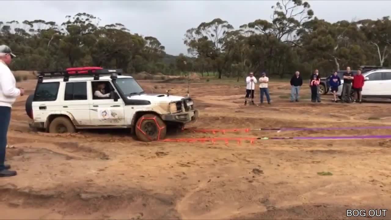 Dog Slams Through Glass Table