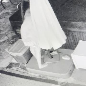 why my back hurts today