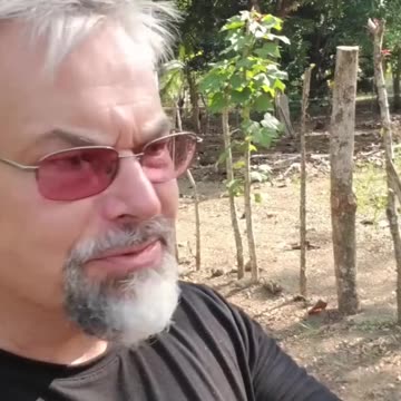 WHAT IS A LIVING WALL?