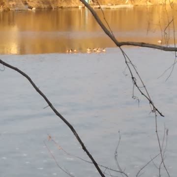 Current view ~ Feb 13th 5pm EST