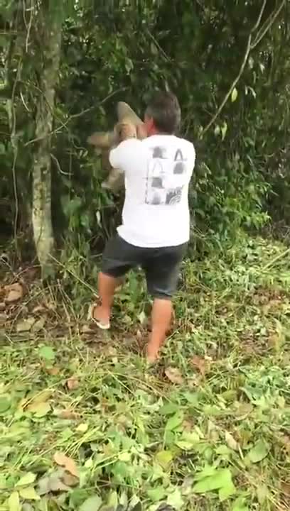 Man helps sloth to cross the road