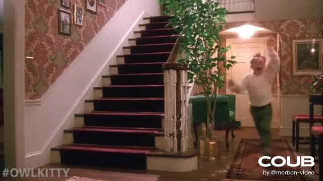 Home Alone with my cat (Parody)