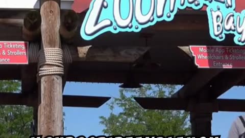 Monkey funny video animals funny video