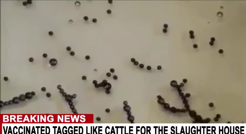 🚨 OMFG you gotta see this about the Stick🚨