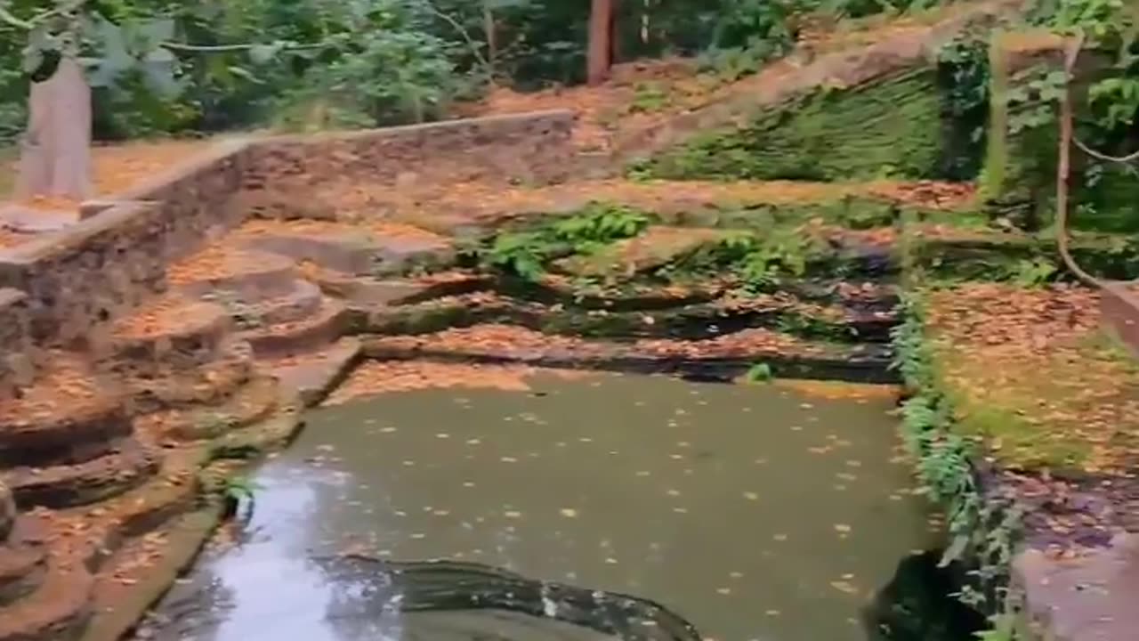 Wildlife in closer view with a natural perspective.