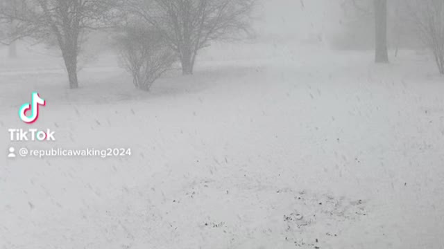 Massive Snow Storm In NY In March