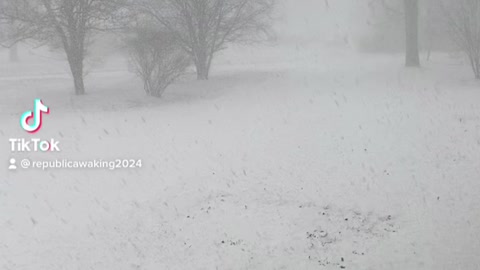 Massive Snow Storm In NY In March