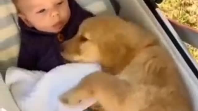 Soo cute and lovely...❤️❤️❤️