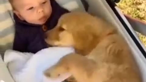 Soo cute and lovely...❤️❤️❤️