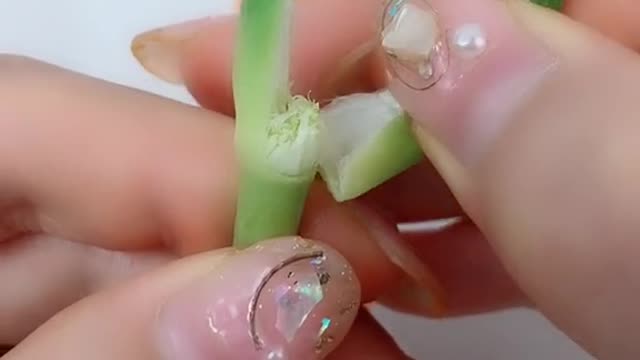 Creative DIY Daisy, waste utilization, beauty