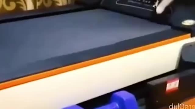 FUNNY ANIMALS VIDEOS TRY NOT TO LAUGH🤣|FUNNY CATS|FUNNY DOGS|FUNNY ANIMALS