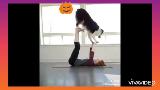 Cute puppies 🐶 | Top 10 cutest puppy videos of 2021