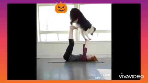 Cute puppies 🐶 | Top 10 cutest puppy videos of 2021