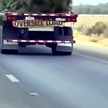 I thought it was a huge chicken lol