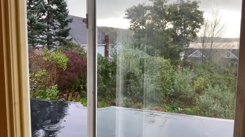 10-22-2021 ~ Thunderstorm Morning Chat #Petito, #TeamRose, #4848, #KimG