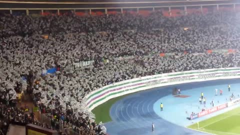 Rapid-Dynamo. Performance with flags