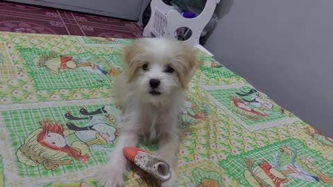 She was angry when i told her to go to sleep.