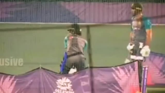 Cricket fans-video cricket lovers-video #cricket #cricketlover