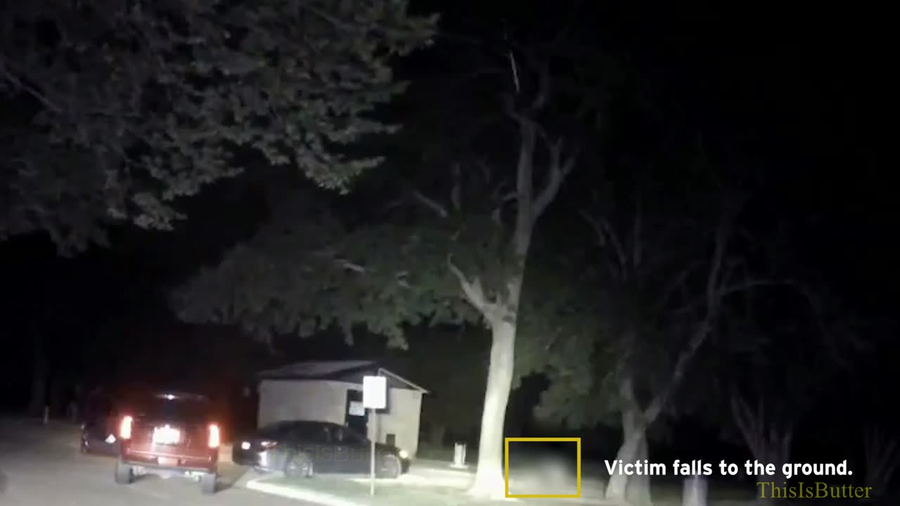 Arlington police release dashcam video leading up to the fatal shooting in city park