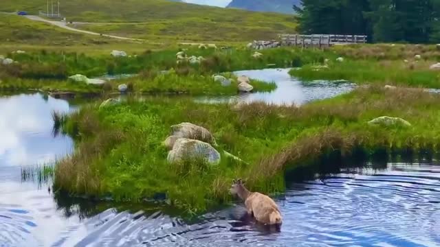 Scottish Highlands are Magical🏞💫