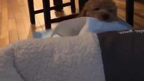 When you do not want to get out of bed to use the bathroom