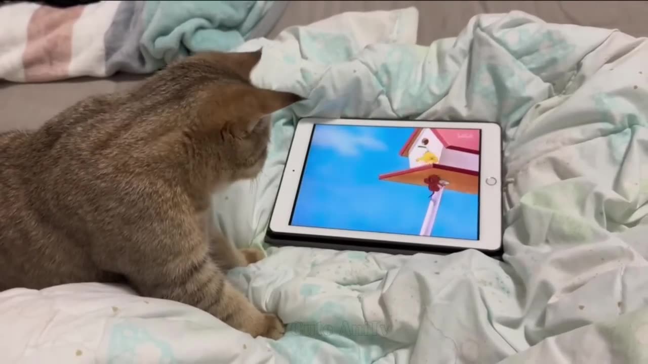 fun for you