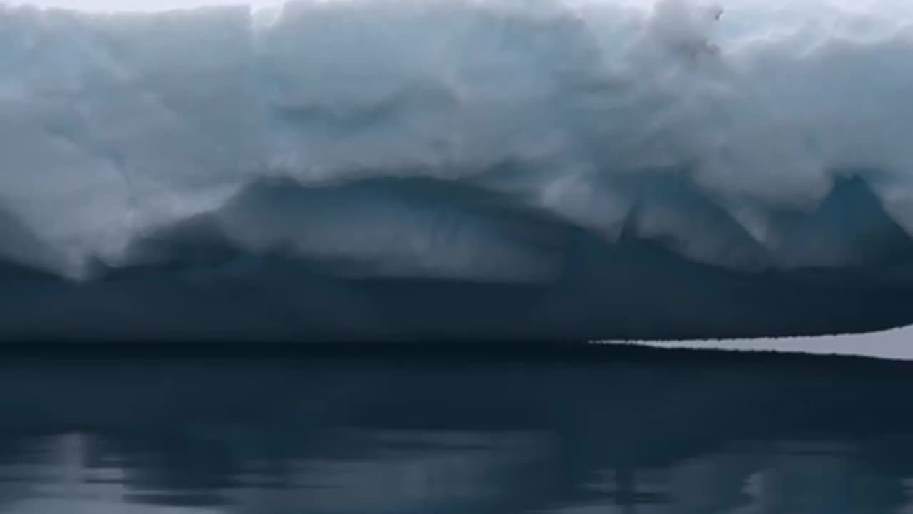 female polar bear appeared on a Island,