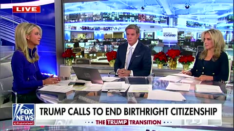 Bill Hemmer: Birthright citizenship is a 'loophole' in the Constitution