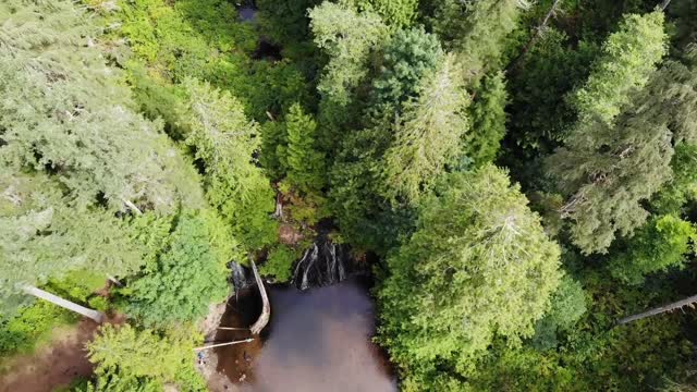 Hiking PNW