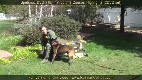 Tips on how to protect yourself from dogs