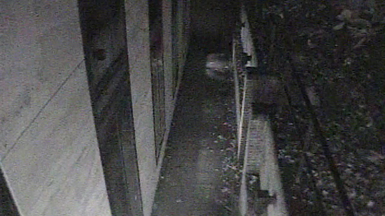 1457HSOB01GroundSoutheast_2021-01-06_04h53min28s347ms.mp4