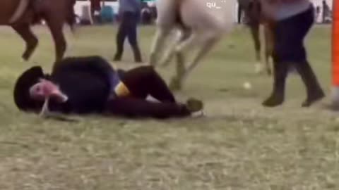 Funny video