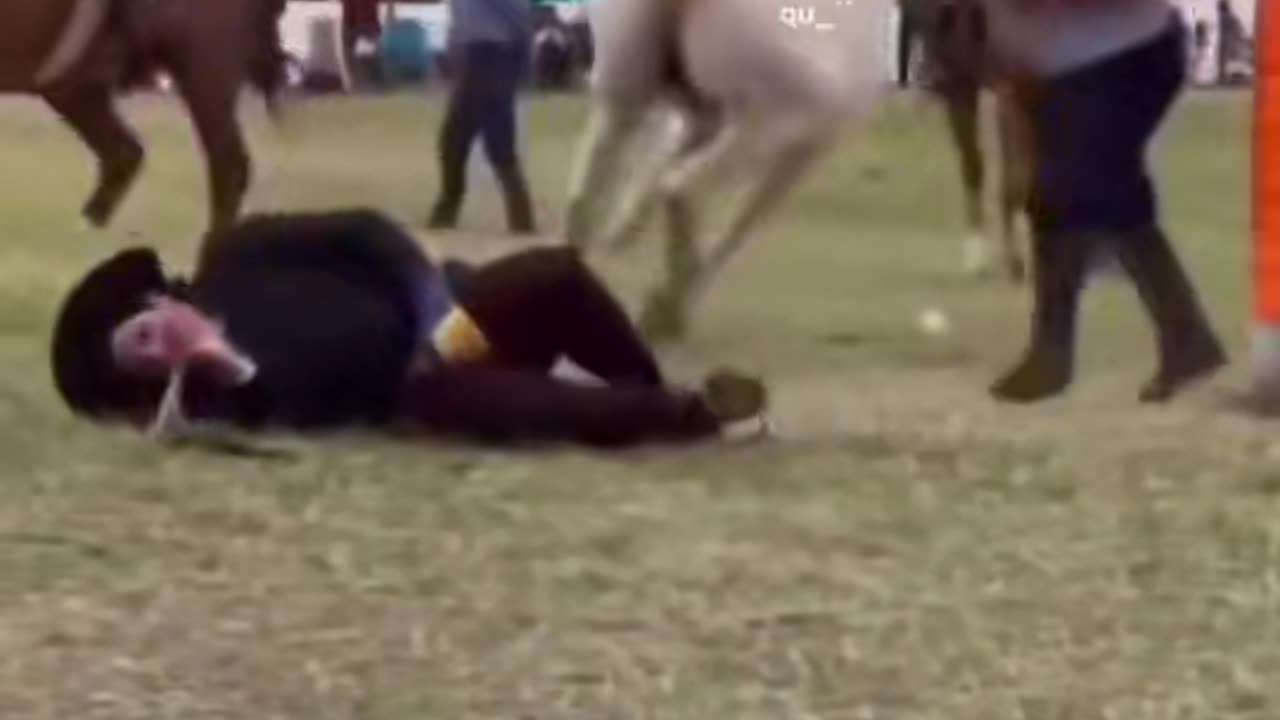 Funny video