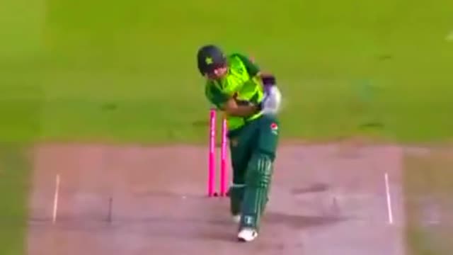 fans-video cricket lovers-video #cricket #cricketlover