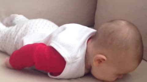 Funny baby sofa video