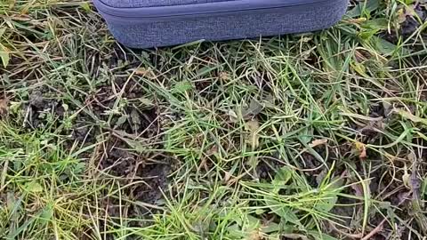 How to fly a drone