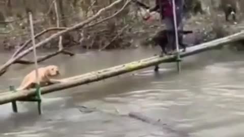 Coming Through