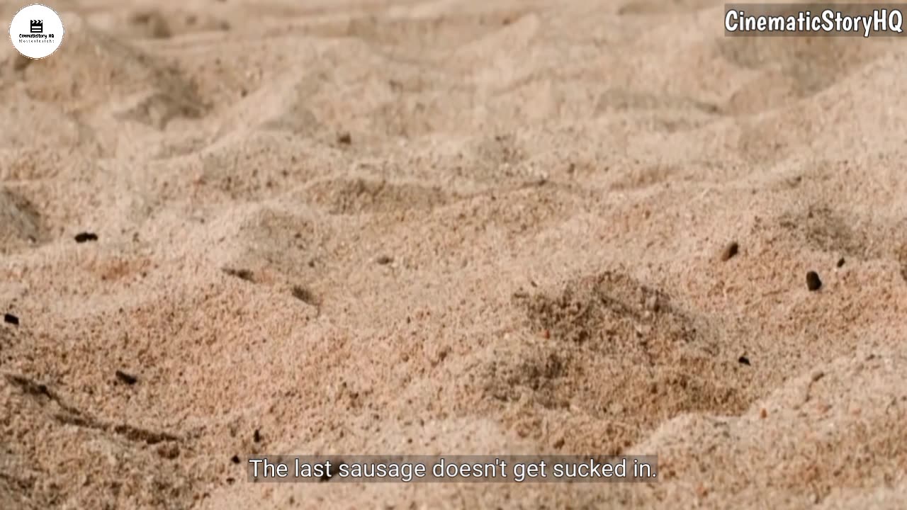 Carnivorous Beach Devours Anyone Touching The Sand