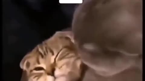 When you love very much