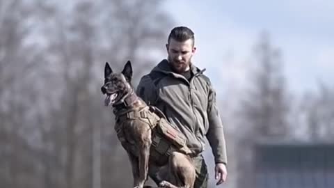 army dog tranning videos