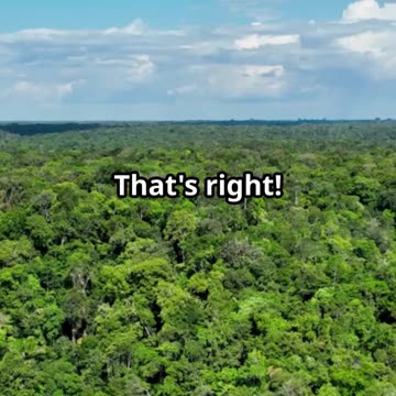 5 Mind-Blowing Facts About Landscapes!