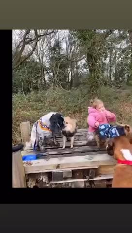 I met the smallest of Hoomans. This one was extra cute and tried to share her snacks with me.