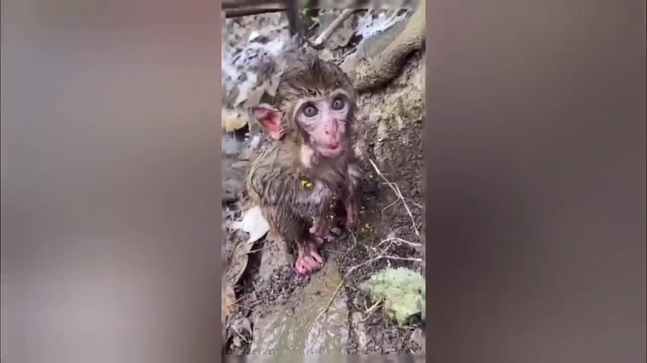 Funny people messing up!