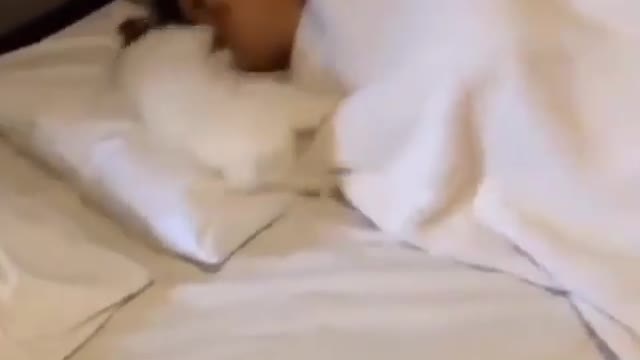 Little Puppy saying good morning to his caretaker