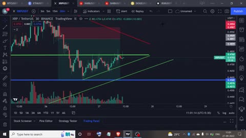 LIVE XRP TRADING/ XRP PROFITS