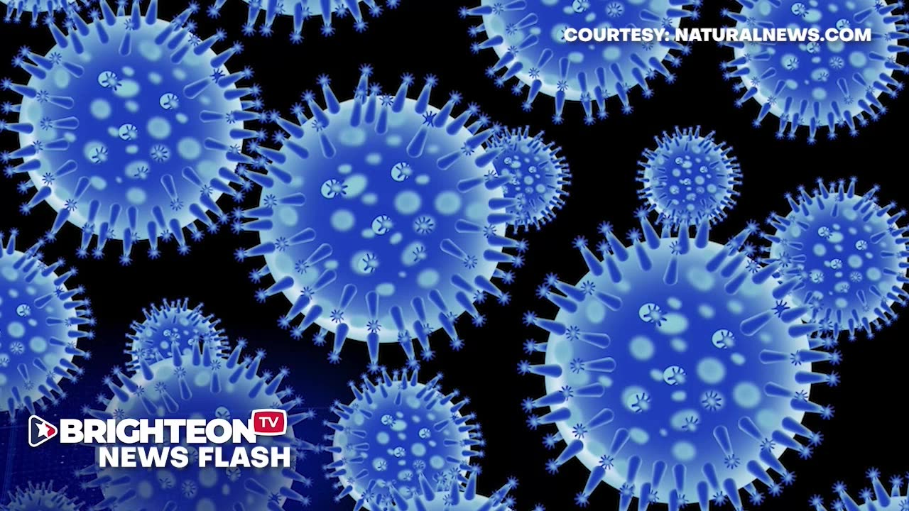 BRIGHTEON.TV - LIVE FEED 11/22/2023: DAILY NEWS AND TALK SHOWS