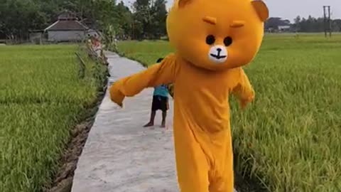 Teddy bear prank,, brown bear, viral mask,