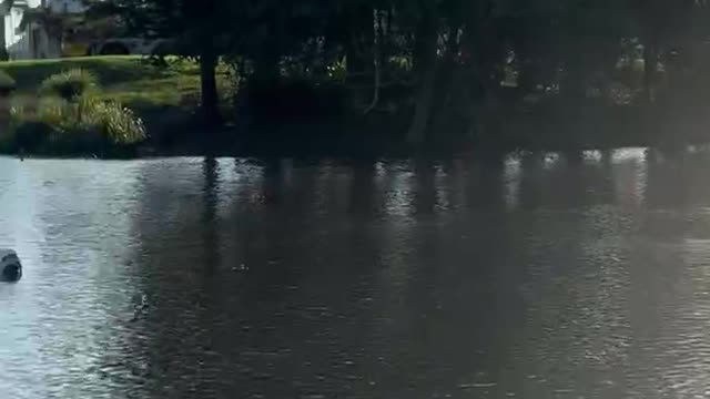 5 April 2022 Dave Oneegs jetski chat NSW Floods SES at work